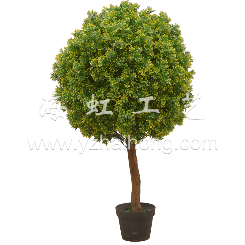 米仔蘭單桿(100CM)(球型) (黃綠) 